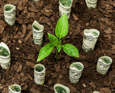 Rządowe wsparcie finansowe pomaga firmom i osobom prywatnym w realizacji ekologicznych projektów inwestycyjnych