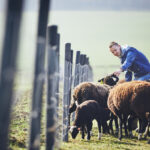 Pełne wsparcie dla firm w cyfrowej transformacji: dofinansowanie na cyfryzację przedsiębiorstw