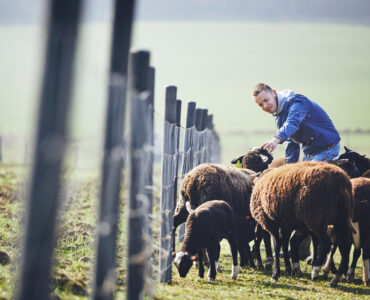 Unijne wsparcie finansowe pomaga młodym rolnikom rozpocząć działalność i modernizować gospodarstwa rolne